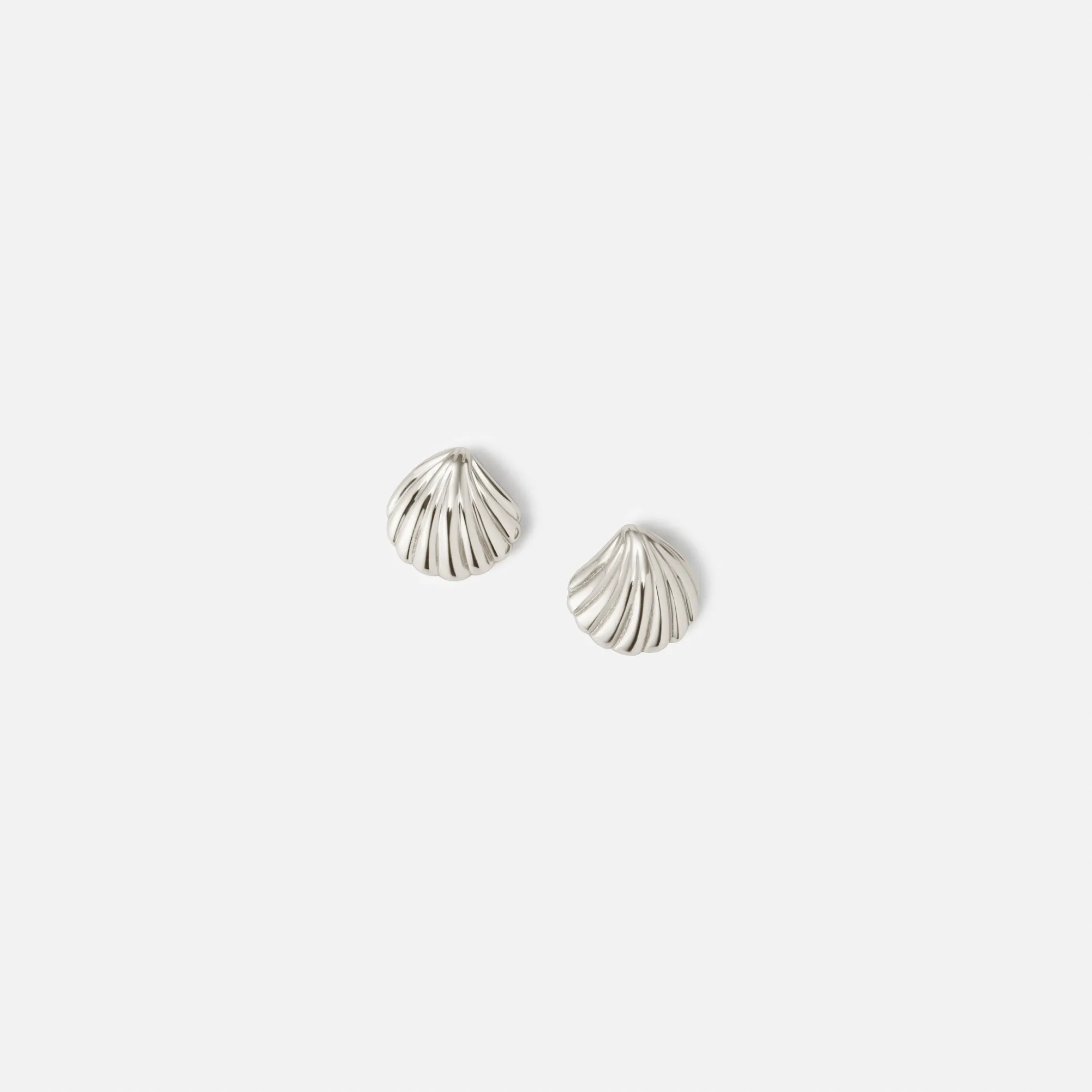 Baby Seashell Studs