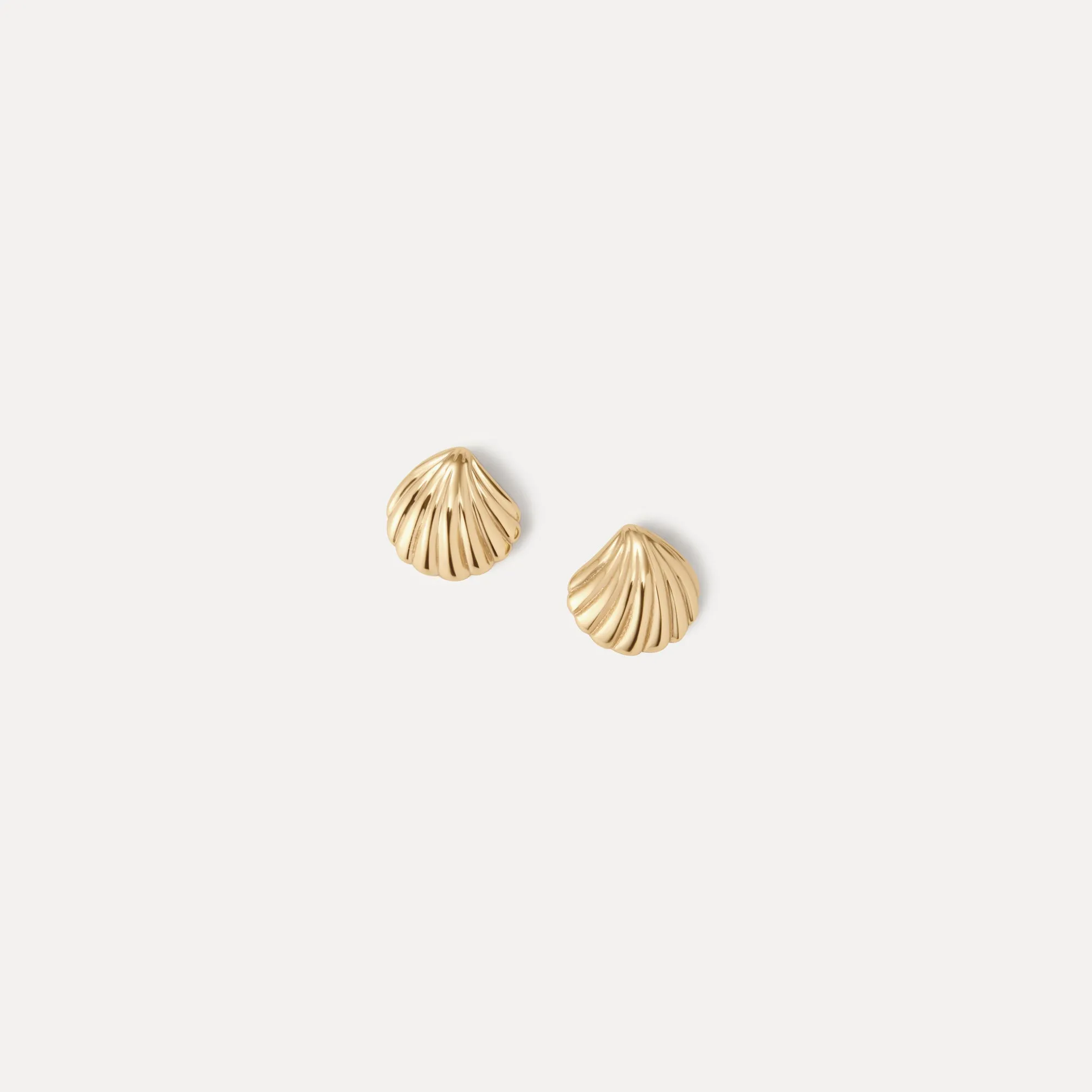 Baby Seashell Studs