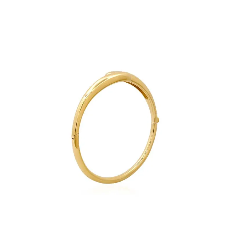 Hinged Double Dome Bangle