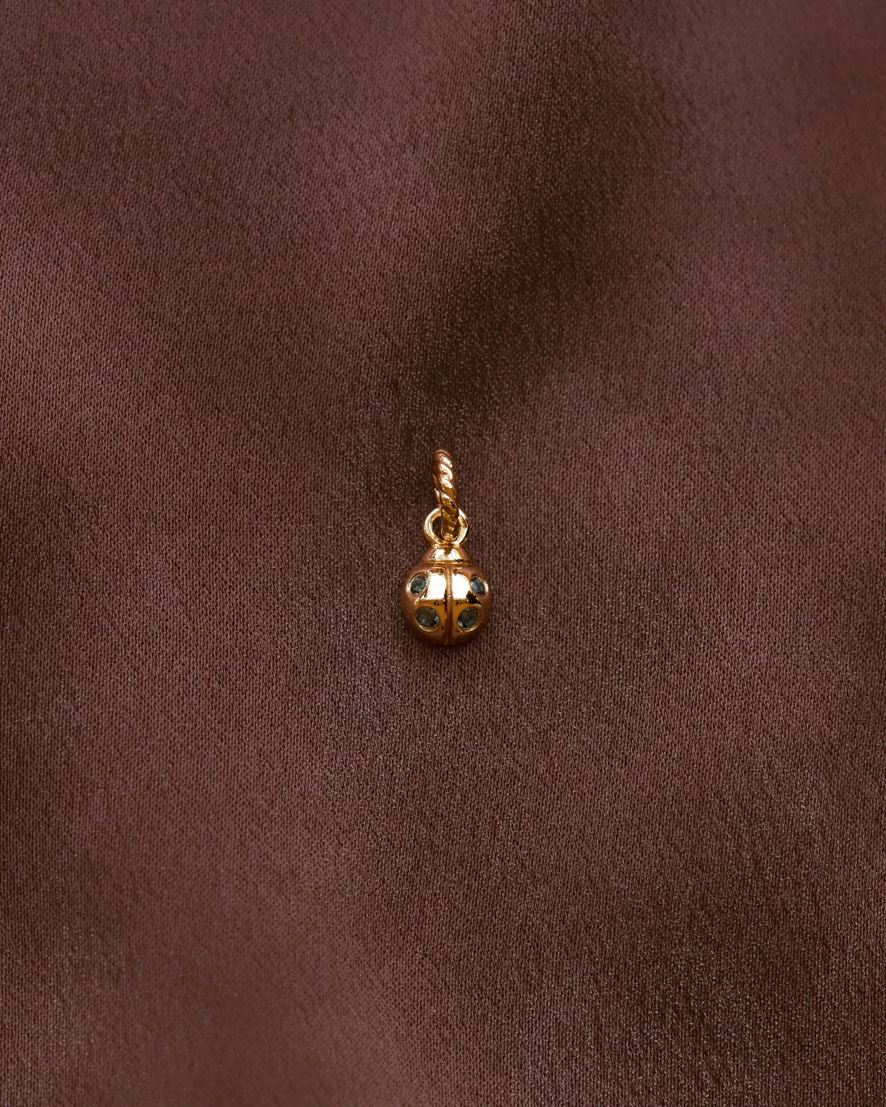 Ladybug Charm