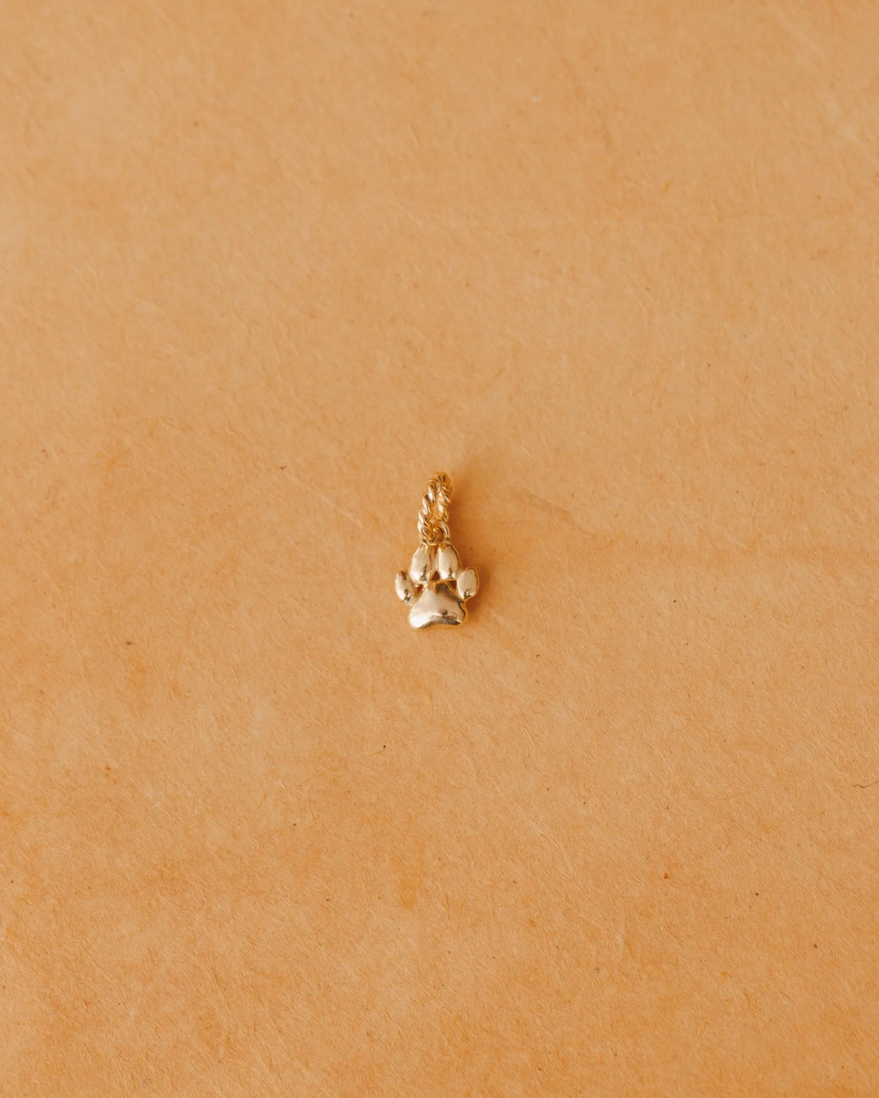Puppy Paw Charm