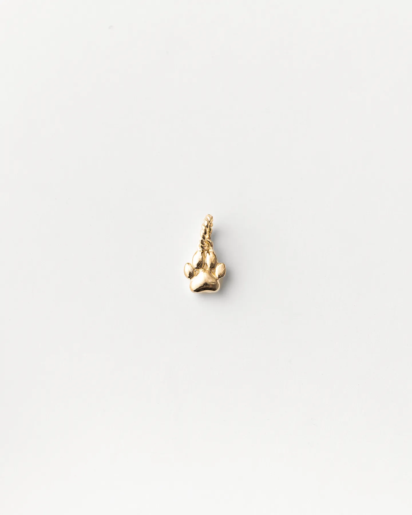 Puppy Paw Charm