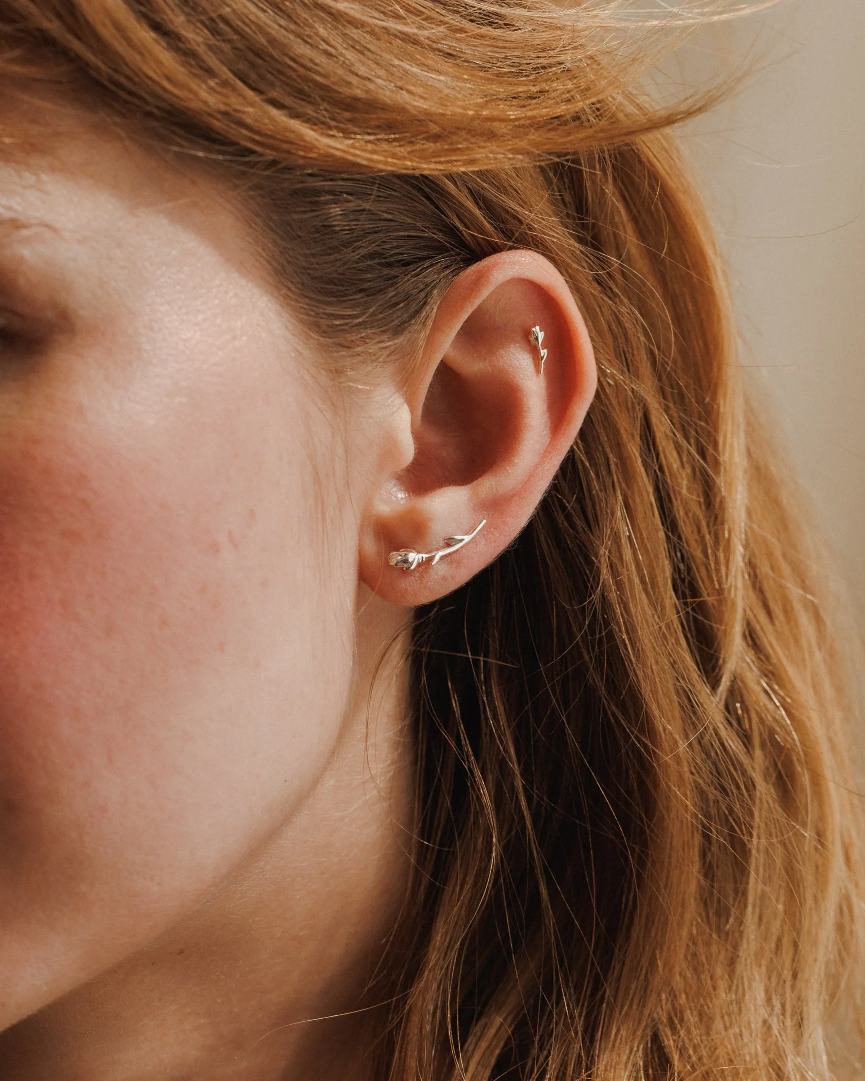 Rose Ear Climber