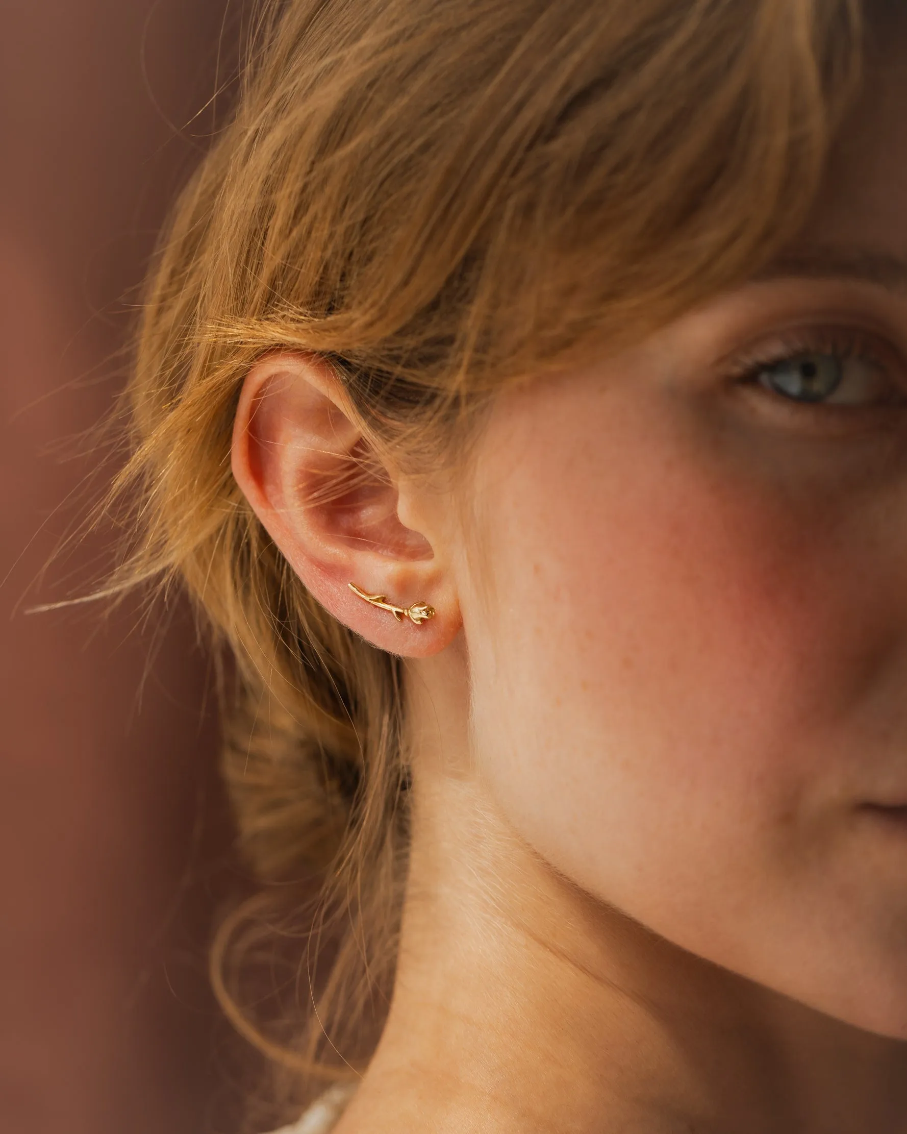 Rose Ear Climber