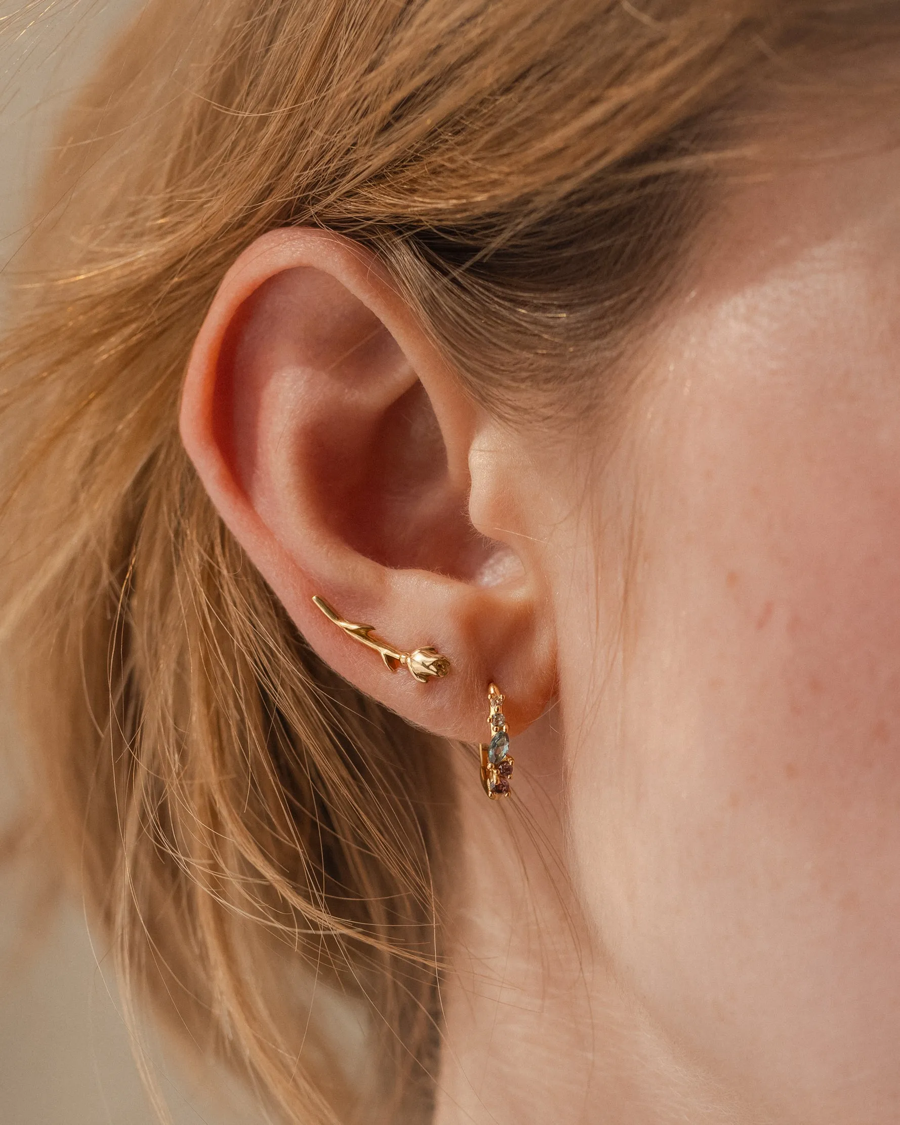 Rose Ear Climber