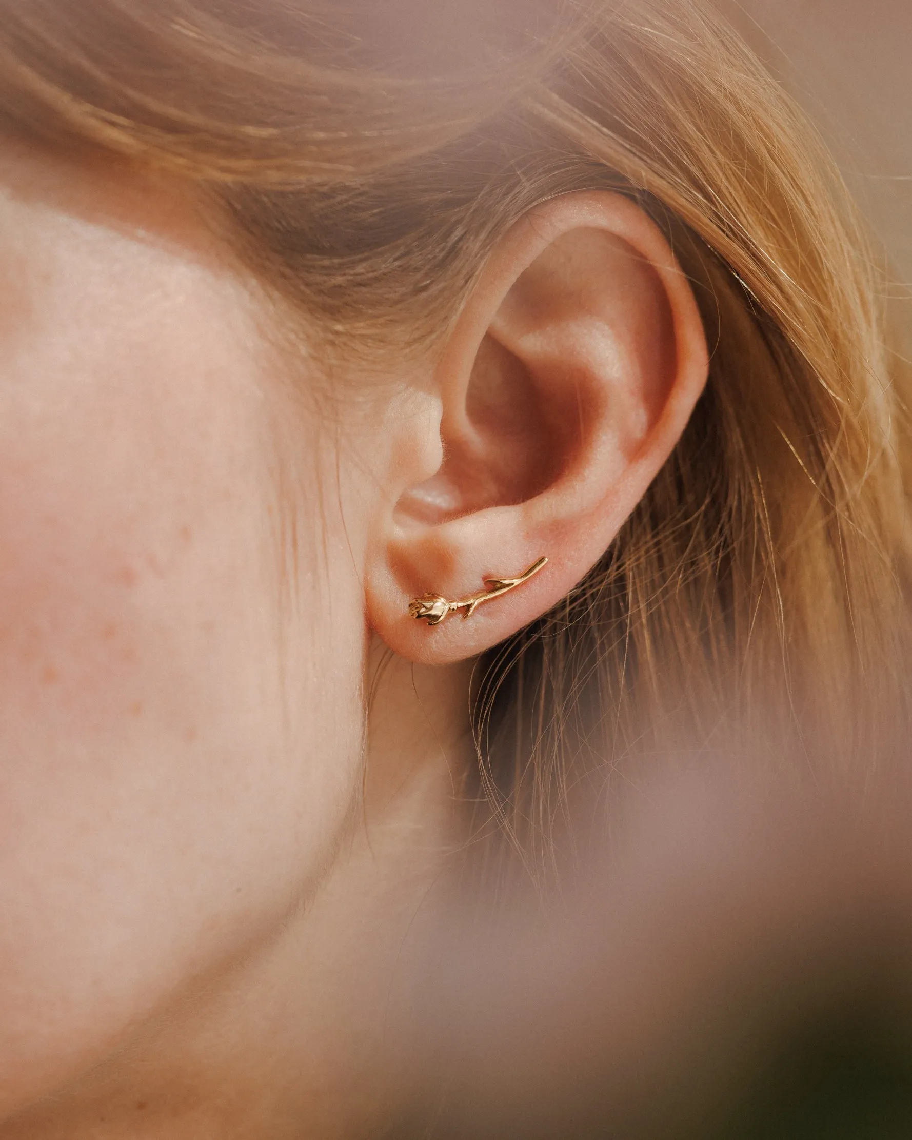 Rose Ear Climber