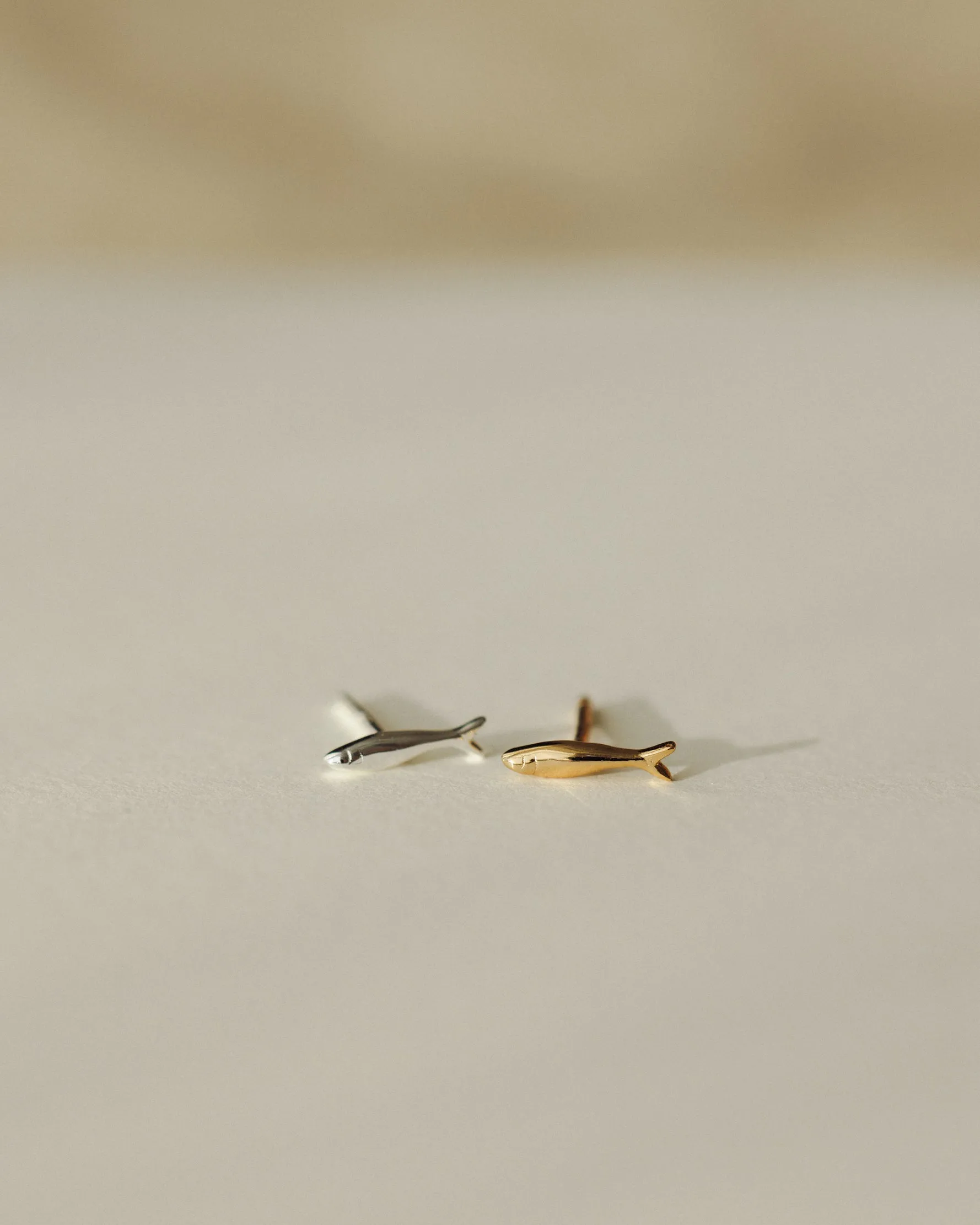 Sardine Studs