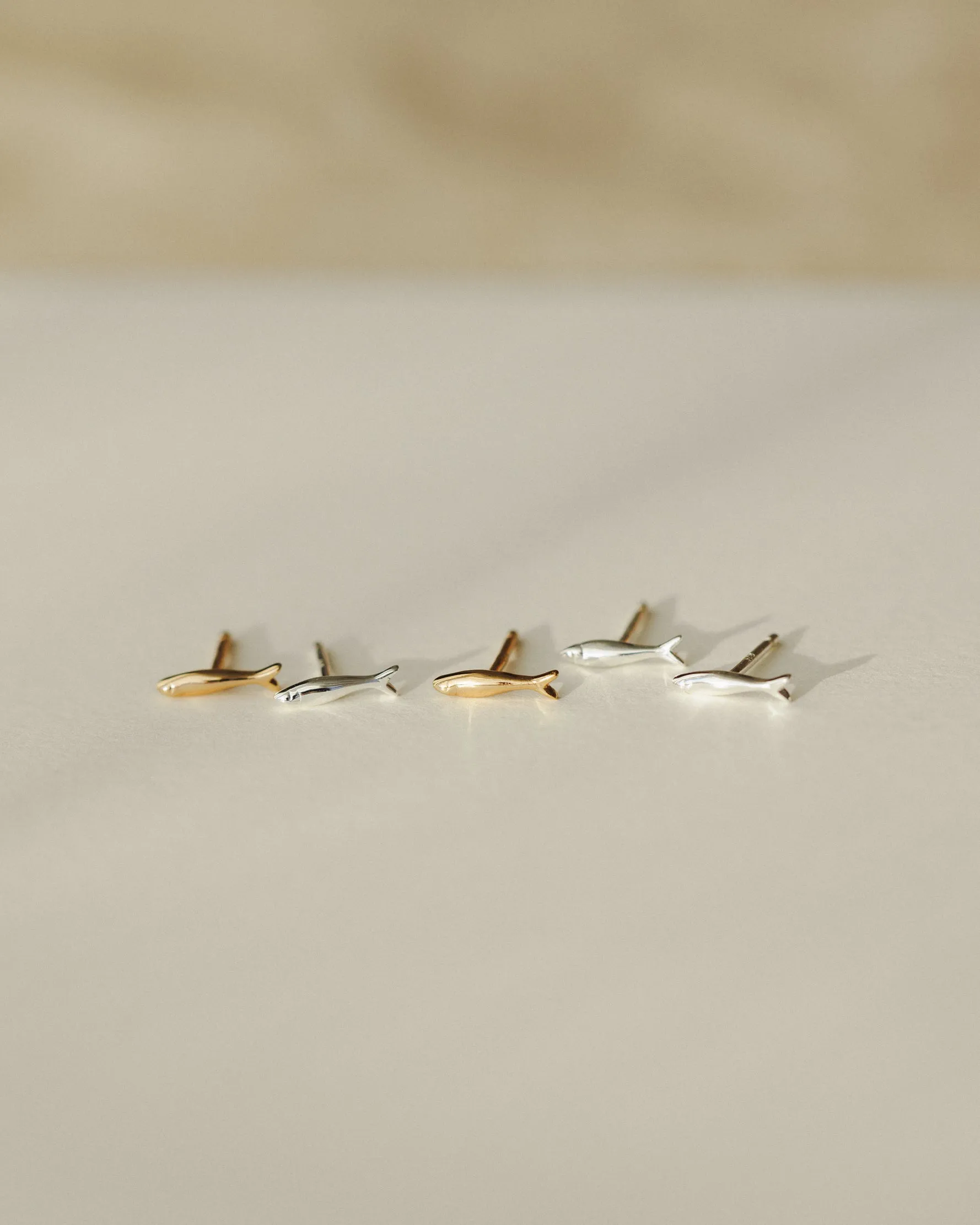 Sardine Studs
