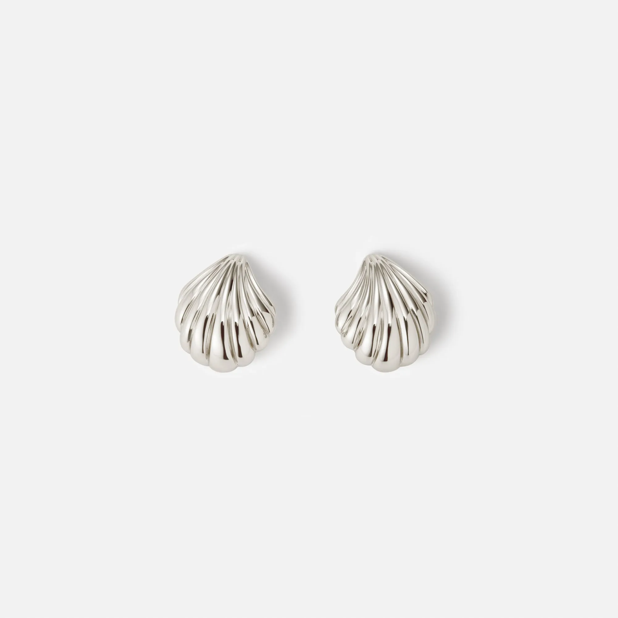 Seashell Studs