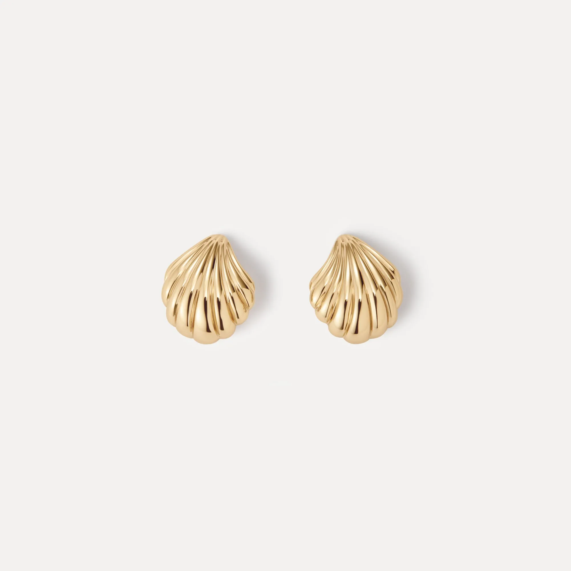 Seashell Studs