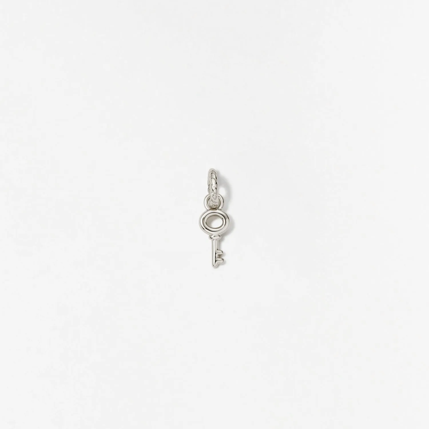 Skeleton Key Charm