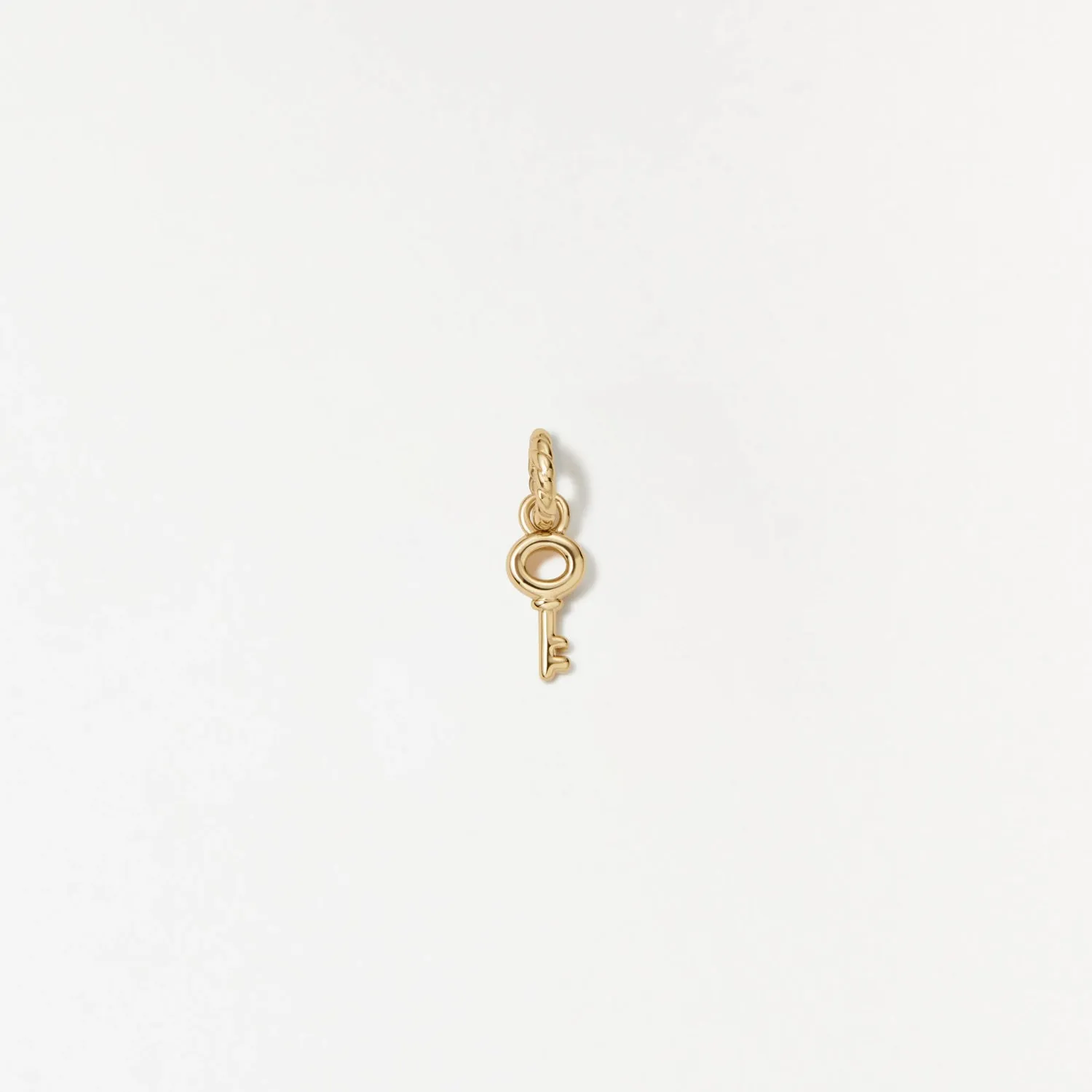 Skeleton Key Charm