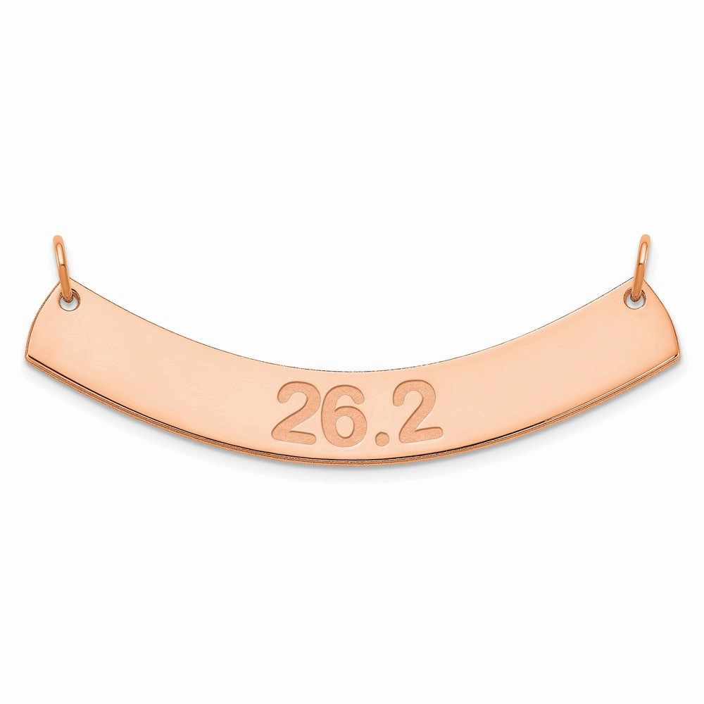 SS/Rose-plated Medium ARIAL ROUNDED Curved Bar Necklace