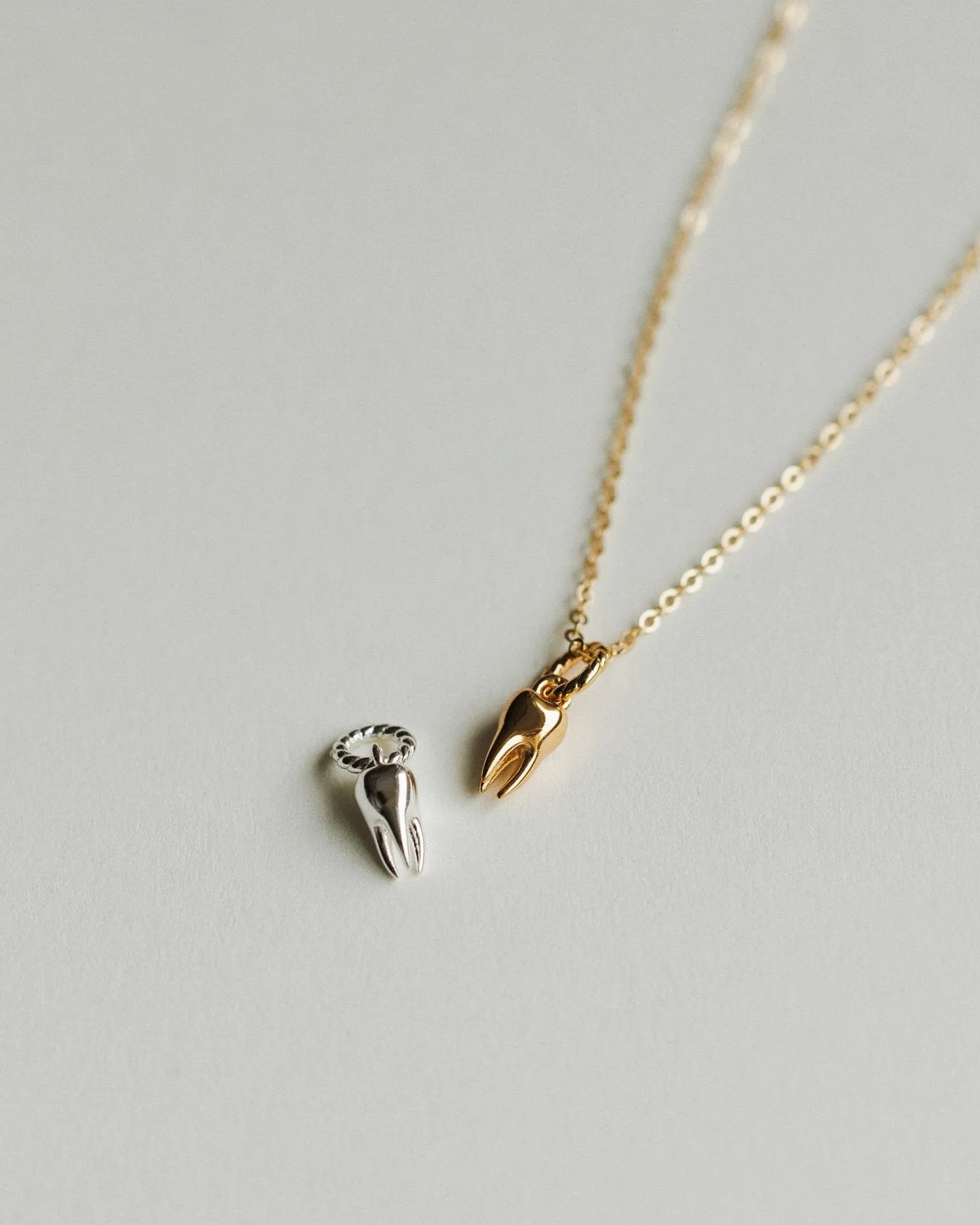 Tooth Charm