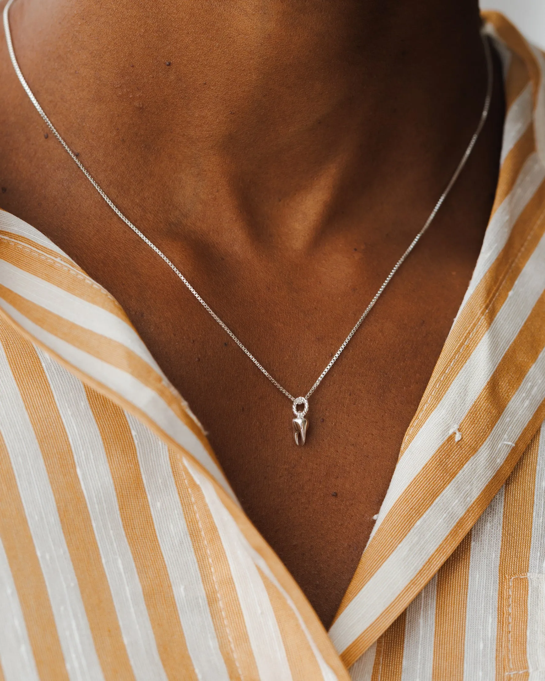 Tooth Charm